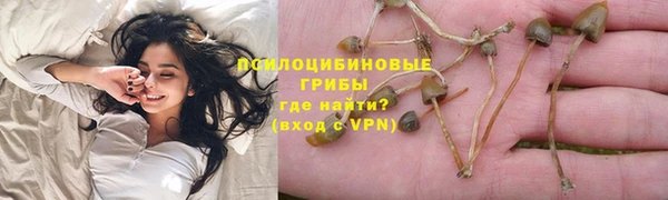 шишки Вяземский