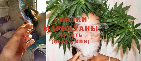 шишки Вяземский